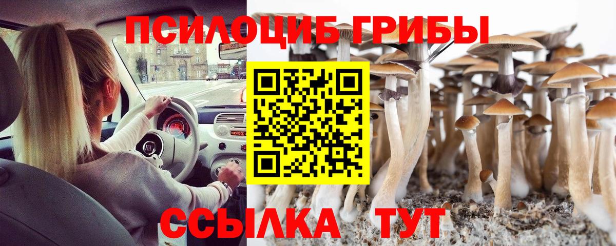 Псилоцибиновые грибы Psilocybine cubensis  дарнет шоп  Тавда  Вход с VPN 