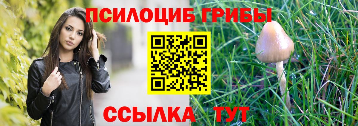 Галлюциногенные грибы Psilocybe Тавда